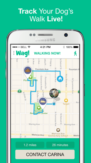 how to download the wag walker app