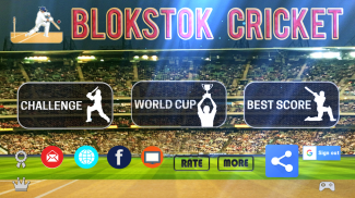 Blokstok Cricket screenshot 6