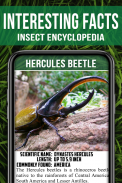 Animal Encyclopedia of Insects screenshot 0