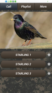 Pest bird caller screenshot 5