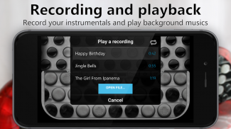 Accordion Chromatic Button screenshot 2
