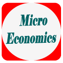 Micro economics