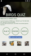 Amazing Animals : Bird Quiz screenshot 4