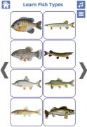 Fish Types | Goldfish Saltwate screenshot 8