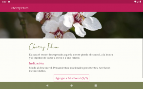 Flores de Bach screenshot 8