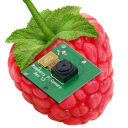 RaspberryPi Camera Viewer