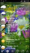 Weather ACE Icon Set Pack screenshot 4