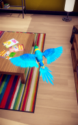 My Talking Parrot screenshot 18