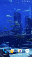 Aquarium Video Live Wallpaper screenshot 4