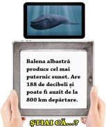 Stiai ca? screenshot 0
