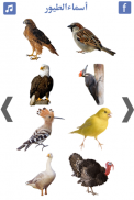 تعليم اسماء الطيور و اصوات الطيور screenshot 3