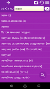 Russian German Dictionary screenshot 6