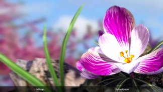 Nature Live❁ Spring Flowers XL screenshot 2