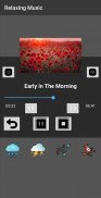 Relaxing Music Offline screenshot 10