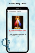 Divine Mercy Chaplet And Novena screenshot 3