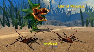 Life of Phrynus - Whip Spider screenshot 2