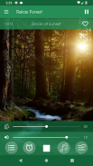 Relax Forest - Nature sounds: sleep & meditation screenshot 4
