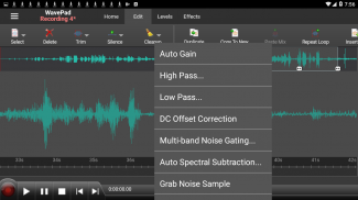WavePad Audio Editor screenshot 8