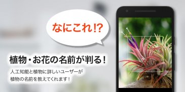 GreenSnap - 植物・花の名前が判る写真共有アプリ screenshot 7