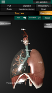 Organi interni 3D (anatomia) screenshot 0