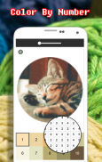 Cat Photography Coloring Book - Color By Number screenshot 2