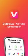 VidDown - All Video Downloader screenshot 3