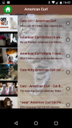 American Curl Cat screenshot 1