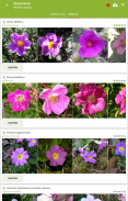 PlantNet पौधों की पहचान screenshot 6