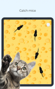 Meow - Játékok Macskáknak screenshot 11