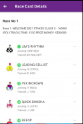 Singapore Horse Racing Live screenshot 6