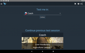 Czech Language Tests screenshot 10