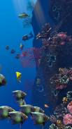 Ocean Aquarium screenshot 9