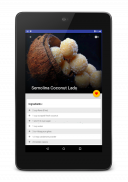 Ruchkar : Indian Recipes screenshot 12