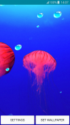 Live-Hintergrundbilder - Jelly screenshot 1