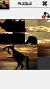 Horse Slide Puzzle screenshot 4