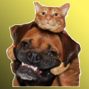 Figurinhas de Animais - Gatos e Cachorros Icon