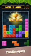 Block Puzzle - Block Breaker screenshot 6