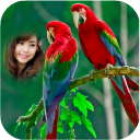 Parrot Photo Frames HD Icon