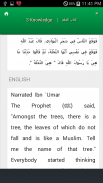 Sahih al-Bukhari screenshot 1