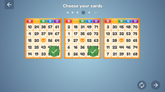 Bingo Set screenshot 4