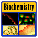 Basic Biochemistry Icon