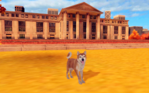 Akita Dog Simulator screenshot 20