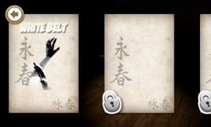 Kung fu Grandmaster screenshot 1