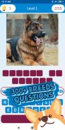 dog breed quiz screenshot 7