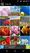 Tulips Flowers Wallpapers HD screenshot 4