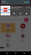 Delhi Live FM Radio screenshot 2