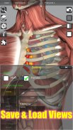 3D Anatomy Lite screenshot 7