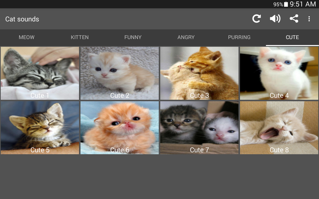 Suara kucing 3.6 Download APK Android  Aptoide