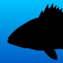 Fish Rules Icon