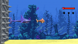 Crazy Fish 3D screenshot 1